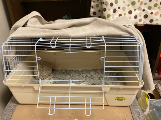 飼育セット