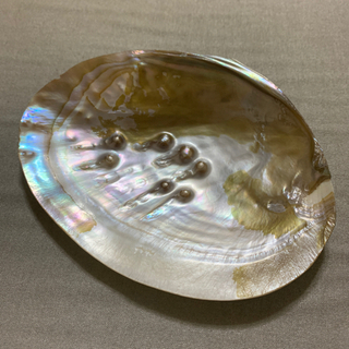 真珠貝のお皿　パールシェルトレー