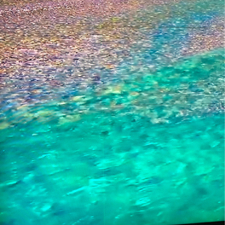 安心決済になっていた為やり直しました。