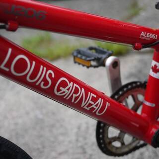 LOUIS GARNEAU ルイガノ ジュニアMTB 高品質 LGS-J206 レッド 250mm 20  