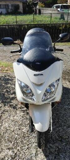 MF08ホンダフォルツア前期型