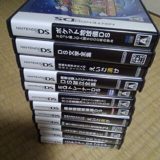 ニンテンドーDS　ソフトケースのみ