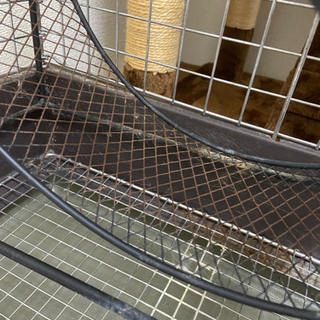 小動物ゲージセット　チンチラスペシャル