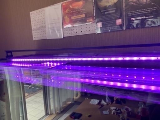 大型LEDライト