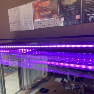 大型LEDライト