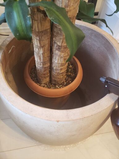 陶器　観葉植物などをいれる鉢