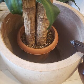 【ネット決済】陶器　観葉植物などをいれる鉢