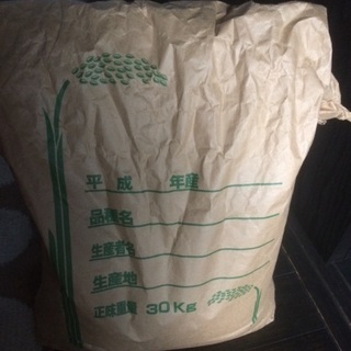 昨日稲刈り令和3年一級新米富田林産30キロ玄米