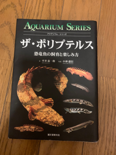 【美品】ザ・ポリプテルス