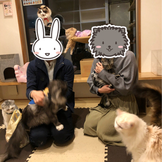 婚活パーティー♡猫カフェ　ねこぐるま - イベント
