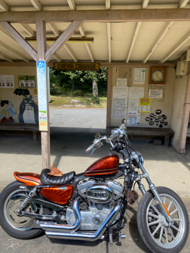 ハーレー　XL 883L2010年式