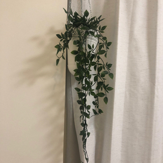 【受渡決定】人工観葉植物　IKEA イケア