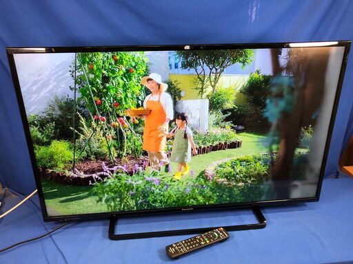 【動作保証あり】Panasonic VIERA 2016年 TH-43D305 43V型 液晶テレビ【管理KRT177】