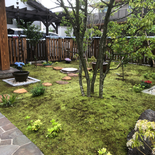お庭のカットモデル募集！ − 東京都