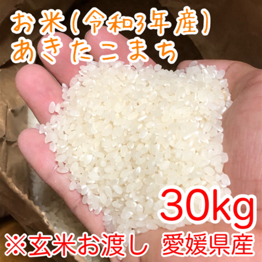 お米 令和2年 愛媛県産キヌヒカリ 玄米 30㎏ - 米/穀物