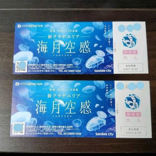 【ネット決済・配送可】サンシャイン水族館 無料券
