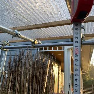 ダシリリオン　ミキワネンシス