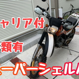 【ネット決済・配送可】【値下げ！】Kawasaki スーパーシェ...