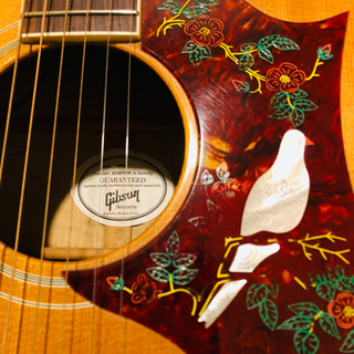 Gibson Dove