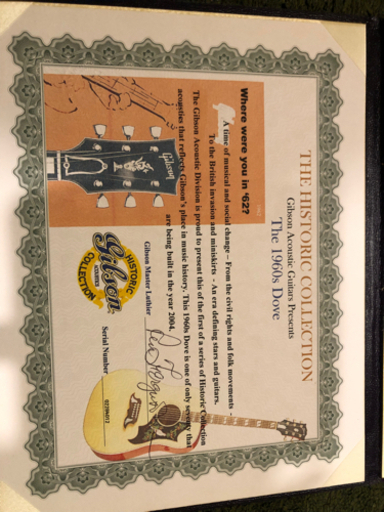 弦楽器、ギター Gibson Dove