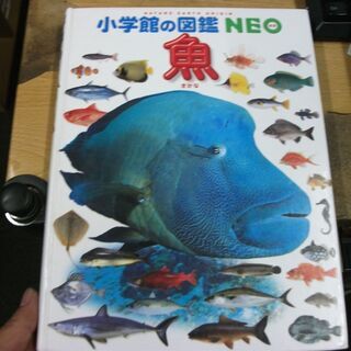 小学館の図鑑NEO 魚 [jp_oversized_book] ...