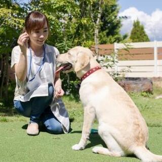 出張ドッグトレーナー募集！(犬のしつけ)