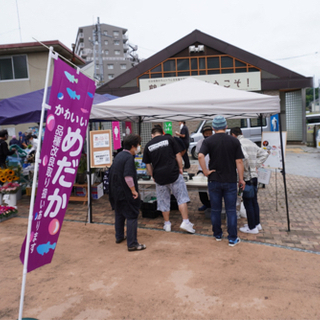 10/16（土）メダカすくいあり！鶴巻温泉朝市