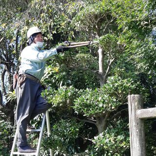 *未経験OK×学歴経験不問*【造園スタッフ】福利厚生もしっかり！...