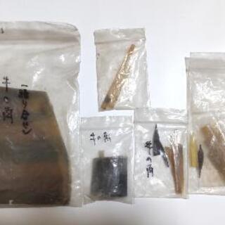 マンモスの牙、牛の角など