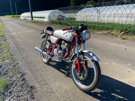 ドリーム50  綺麗です！
