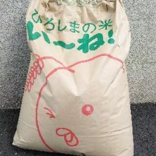 【新米②】コシヒカリ10kg 3000円