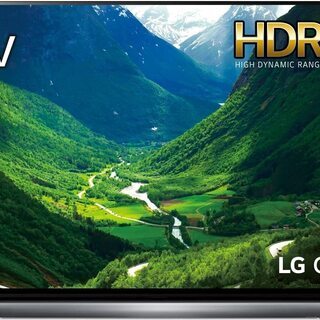 LG 65V型 有機EL テレビ OLED65C8PJA 直接引き取り希望*値下げ