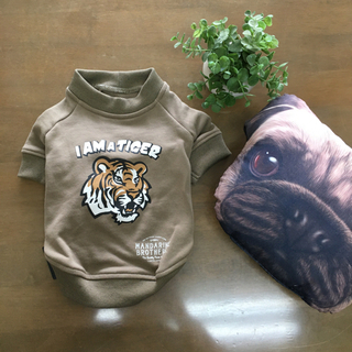 タイガーロゴ　わんちゃん服🐯