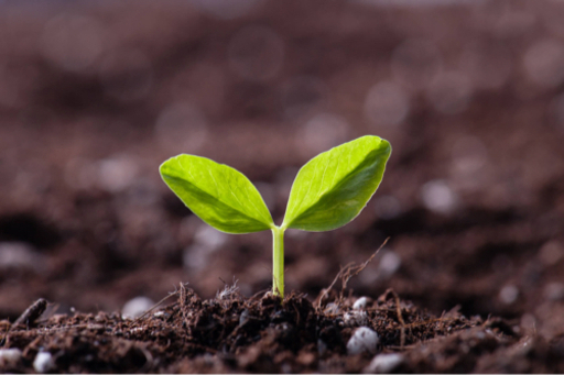 残土受け入れ 花壇の土 プランターの土 園芸用土 家庭菜園の土 廃棄処分に困った土受け入れます 茂木 木崎のその他の助け合い ジモティー