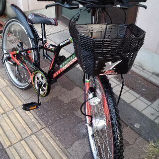 AMERICAN EAGLE[アメリカンイーグル]CTB246 24吋ジュニアMTB 外装6段 