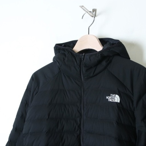 THE NORTH FACE (ザノースフェイス) Red Run Hoodie