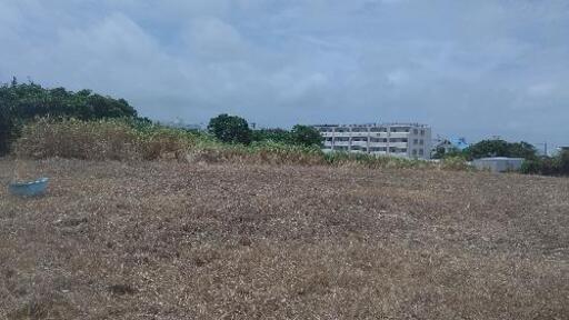 広い土地と建物