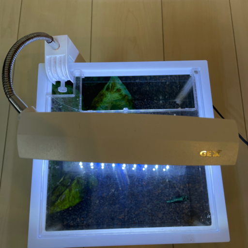 取引中 ベタ水槽セット Nat 浦添前田のその他の中古あげます 譲ります ジモティーで不用品の処分