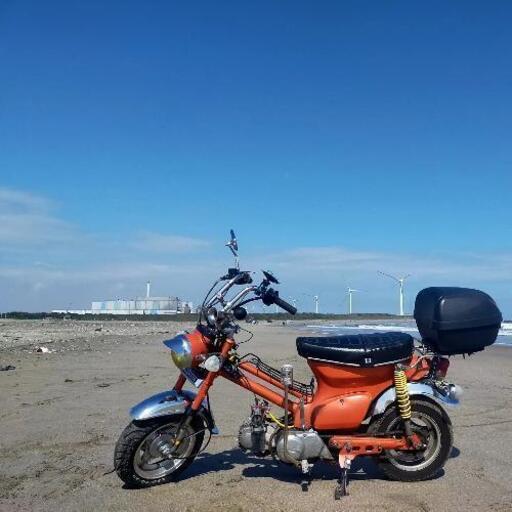 唯一無二のカブ カスタム 88CC