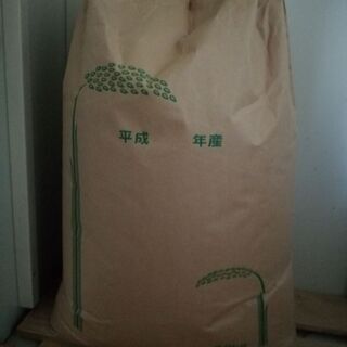 玄米30kg（令和2年産ヒノヒカリ）