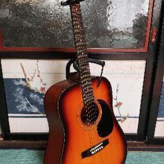 [値下げしました] ヤマハ タカミネ takamine Tser...