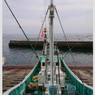 漁船    金目鯛 カジキマグロetc.