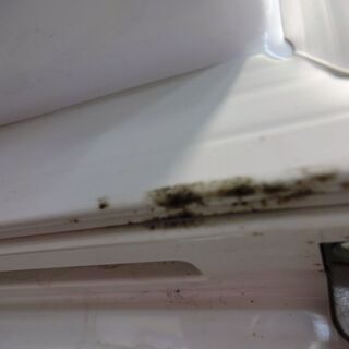 シャープ 冷蔵庫 SJ-D14B-W　中古品 137L 2016年※パッキンに汚れアリ