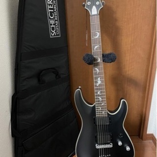 【ネット決済・配送可】schecter Diamond seri...