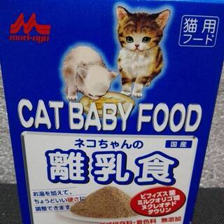 【新品】森乳サンワールド　ネコちゃんの離乳食　150グラム 