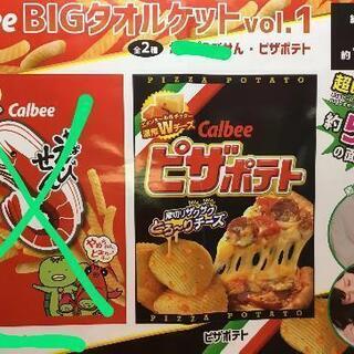 ピザポテトビッグタオルケット