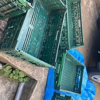 折り畳みコンテナ　各種サイズ混合