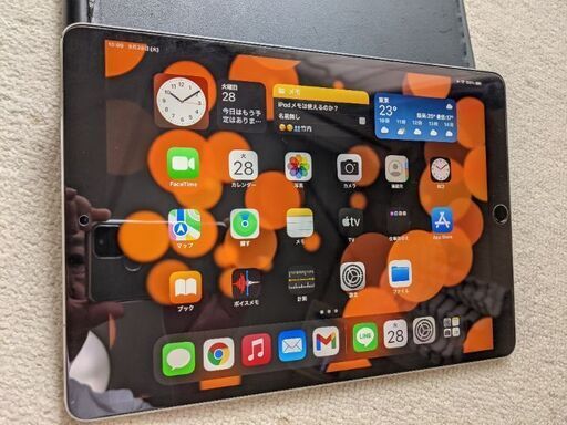 iPad Pro 10.5 WI-FI +Cellular 64GB | diyfishblogs.com