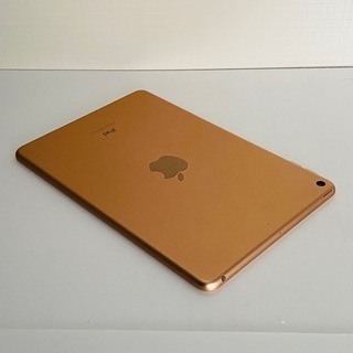 iPad mini 5 64GB + Apple Pencil + オマケ2つ