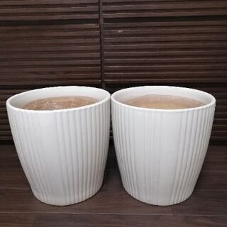 ★観葉植物陶器鉢　２コsett　美品